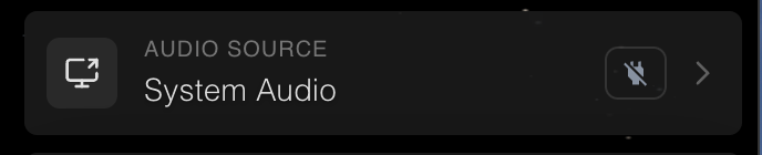 vizz.fm audio source indicator showing System Audio as the active input