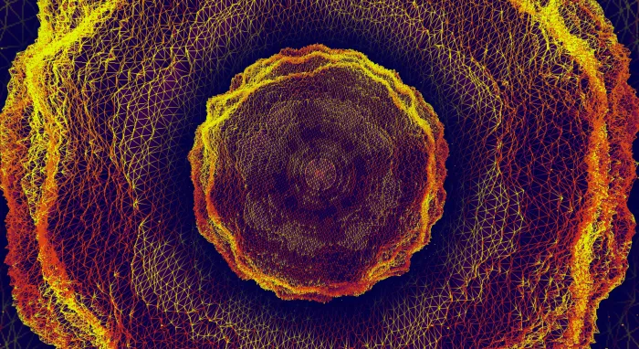 A molten orange wireframe bloom of concentric rings seen from above, glowing like embers