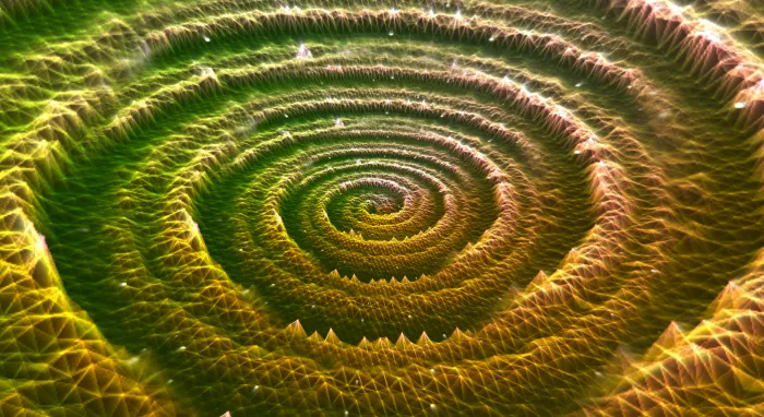 A spiraling canyon of gold and green wireframe terrain swirling like a giant thumbprint, audio-reactive art from vizz.fm
