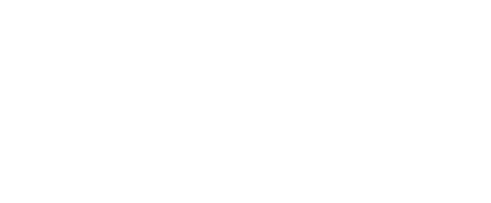 vizz.fm logo